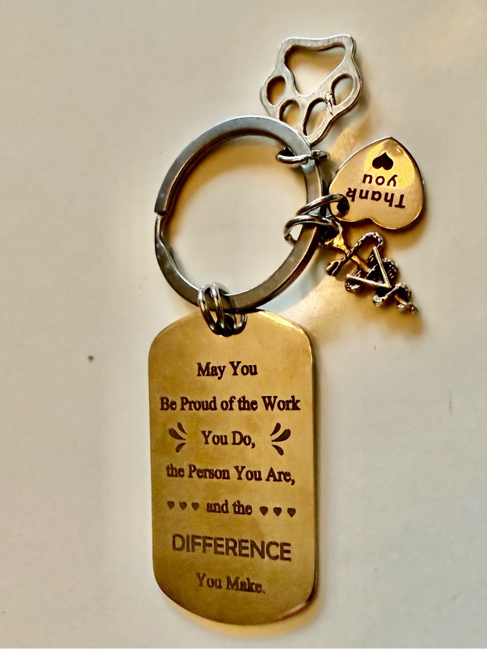 Silver Veterinary Medicine Key Chain